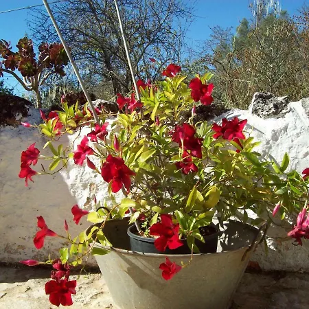 Casa Do Monte Da Portela